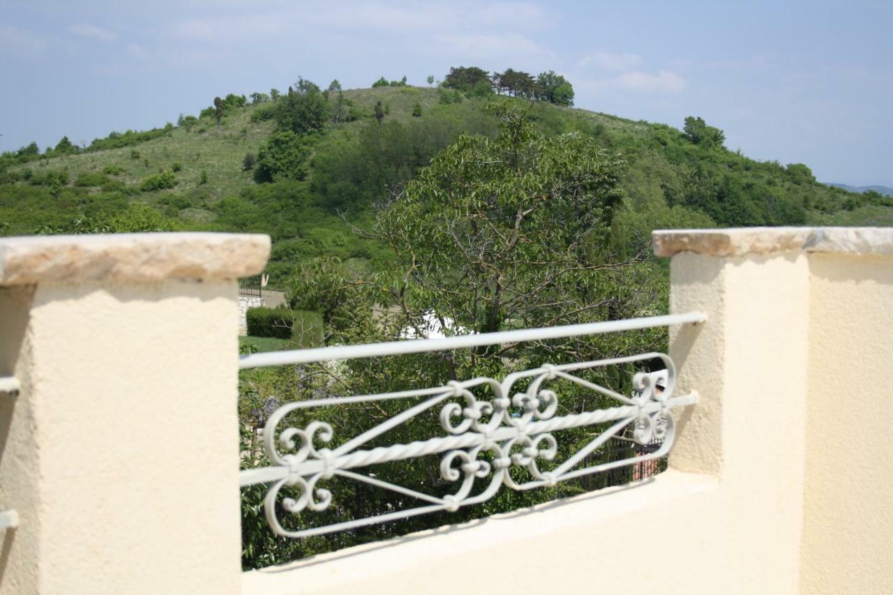 Terra Mirna Villa Vižinada Dış mekan fotoğraf